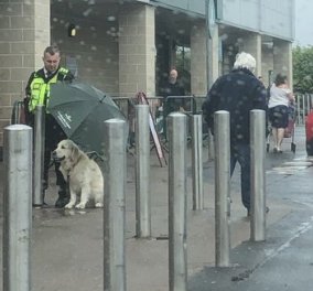Κράτησε ομπρέλα στον σκύλο για να μη βραχεί! Ο σεκιουριτάς που έγινε παγκοσμίως viral για την καλή του πράξη (Φωτό)  - Κυρίως Φωτογραφία - Gallery - Video
