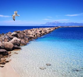 Eirinika - Καλοκαίρι 2020: #kasos - Το νησί των καπεταναίων & νοτιότερο των Δωδεκανήσων - «Ένα φιλί της θάλασσας της αφροστολισμένης» (φωτό) - Κυρίως Φωτογραφία - Gallery - Video