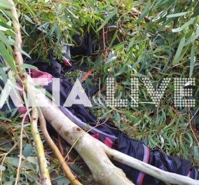 Ανεμοστρόβιλος στην Ηλεία: Βρετανίδα τουρίστρια τραυματίστηκε σοβαρά σε κάμπινγκ - Έπεσε πάνω της δέντρο (φωτό) - Κυρίως Φωτογραφία - Gallery - Video