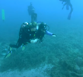 Αλόννησος: Γάλλοι δύτες καταγράφουν το πρώτο υποβρύχιο μουσείο της Ελλάδας - Δείτε την μαγευτική υποθαλάσσια διαδρομή 
