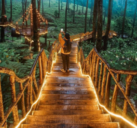 Παραμυθένια φωτισμένη γέφυρα - Ανακαλύψτε το μαγικό δάσος στην Ινδονησία (φωτό) - Κυρίως Φωτογραφία - Gallery - Video