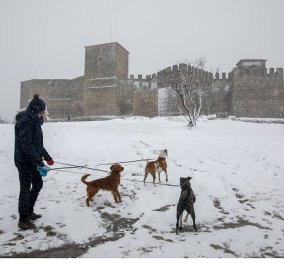 Καρέ καρέ τα χιόνια σε Θεσσαλονίκη, Διόνυσο, Φθιώτιδα - 100 φωτογραφίες με το πανέμορφο λευκό του ξαφνικού χειμώνα - Επιτέλους! (φωτό & βίντεο)