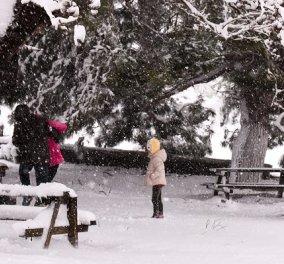 Λέανδρος: Χιόνια και στην Αττική από το βράδυ της Κυριακής - Στα λευκά «ντύνεται» η χώρα - Που θα «χτυπήσουν» τα φαινόμενα (φωτό & βίντεο)