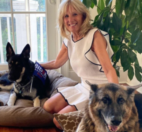 Η πρώτη φωτογραφία της Jill Βiden με τα σκυλιά τους στον Λευκό οίκο - To πρώτο Zoom  meeting με όλα τα αδέσποτα των ΗΠΑ - Κυρίως Φωτογραφία - Gallery - Video