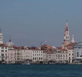 Απρόσμενοι επισκέπτες στα κανάλια της Βενετίας: Δελφίνια κολυμπούν κοντά στην πλατεία St. Mark's - Δείτε το βίντεο