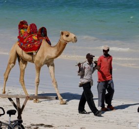 Αποκλειστικό φωτορεπορτάζ: O Βασίλης Kουτρουμάνος στα βάθη της Κένυας - Aπό την παραλία της Μομπάσα μέχρι την ενδοχώρα με τους Μασσάι  - Κυρίως Φωτογραφία - Gallery - Video