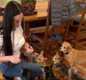 Η Demi Moore ζει με… εννέα σκυλιά στην βίλα της στο Idaho! Τα ταΐζει, τα προσέχει και αυτά την κοιτούν με λατρεία (φωτό) - Κυρίως Φωτογραφία - Gallery - Video