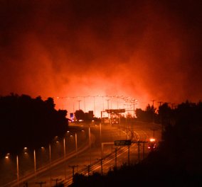 Πύρινη Κόλαση : Η φωτιά πέρασε στο Καπανδρίτι - Εκκενώνονται Άγιος Στέφανος -  Κρυονέρι (βίντεο)  - Κυρίως Φωτογραφία - Gallery - Video