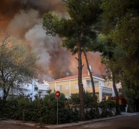 Πυρκαγιές: Ανοίγουν από σήμερα οι πλατφόρμες για αποζημιώσεις και δωρεές στους πυρόπληκτους (βίντεο) - Κυρίως Φωτογραφία - Gallery - Video