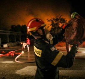 Story of the day: Η εμπειρία ενός Γερμανού πυροσβέστη από τις φωτιές στην Ελλάδα - οι δυσκολότερες στιγμές στην υπηρεσία του...