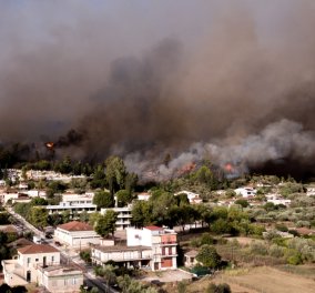 Δύσκολη η κατάσταση στην Πελοπόννησο: Σε εξέλιξη οι πυρκαγιές σε Φωκίδα - Ηλεία - Στου Λάλα το κυριότερο μέτωπο - Στα νοσοκομεία με αναπνευστικά προβλήματα  πολίτες  (φώτο) - Κυρίως Φωτογραφία - Gallery - Video