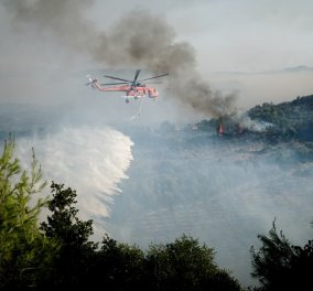 Φωτιές - Σάκης Αρναούτογλου: «Εφιάλτης» ο ισχυρός λίβας μέχρι 8 μποφόρ - Ποιες περιοχές είναι στο κόκκινο (φωτό)