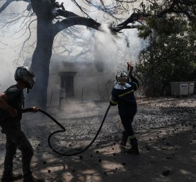 Πυρκαγιά στο Κρυονέρι: Δίωξη για εμπρησμό σε βάρος 43χρονου - δίωξη και για την φωτιά στο Πεδίον του Άρεως (βίντεο) - Κυρίως Φωτογραφία - Gallery - Video