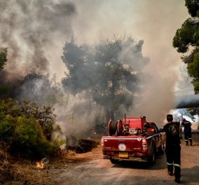 Πυρκαγιές: Βελτιωμένη αλλά επικίνδυνη η κατάσταση στην Αττική - Μάχη με τις αναζωπυρώσεις (φωτό & βίντεο) - Κυρίως Φωτογραφία - Gallery - Video