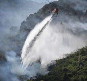 Πυρκαγιές - η επόμενη μέρα στην Αττική: Εικόνες καταστροφής από το πέρασμα της φωτιάς - περιπολίες στα καμένα (φωτό & βίντεο) - Κυρίως Φωτογραφία - Gallery - Video