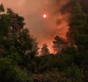 Φωτιές - Εύβοια: Τα πύρινα μέτωπα έχουν κυκλώσει τα χωριά Γαλατσώνα, Ελληνικά & Αγριοβότανο - νέες εκκενώσεις οικισμών (φωτό & βίντεο)