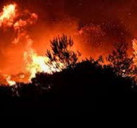 Καίγονται σπίτια στα Βίλια: Νέα αναζωπύρωση σε μεγάλη δασική έκταση απειλεί τον οικισμό – Εφιαλτικό το σκηνικό στην περιοχή (βίντεο)