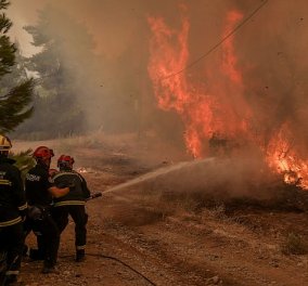 Βόρεια Εύβοια: Ολονύχτια μάχη με τις φλόγες για να μη φτάσει η φωτιά στην Ιστιαία - «Ανθρώπινο τείχος» από τους κατοίκους  (βίντεο) - Κυρίως Φωτογραφία - Gallery - Video