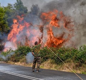Σε θέση μάχης για τις αναζωπυρώσεις σε Ηλεία και Γορτυνία βρίσκονται οι πυροσβεστικές δυνάμεις - Άλλη μια νύχτα τρόμου (βίντεο)  - Κυρίως Φωτογραφία - Gallery - Video