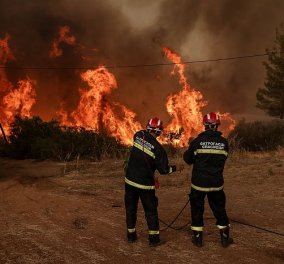 Πυρκαγιά στην Β. Εύβοια: Απειλούνται τα χωριά Γαλατσώνα, Αβγαριά, Ασμίνι - Κοντά στην Ιστιαία η φωτιά (φωτιά - βίντεο) - Κυρίως Φωτογραφία - Gallery - Video