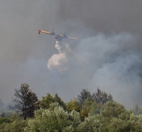Αναζωπυρώσεις της φωτιάς σε Βόρεια Εύβοια και Γορτυνία - Μήνυμα για εκκένωση σε τρία χωριά (βίντεο)