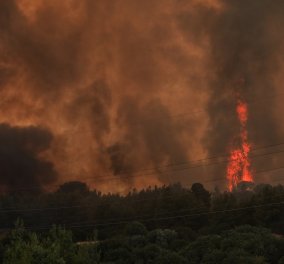 Πυρκαγιά στη Βαρυμπόμπη: Μήνυμα 112 για εκκένωση περιοχών - Πληροφορίες ότι δύο σπίτια παραδόθηκαν στις φλόγες - Εγκλωβίστηκε αστυνομικός (φώτο - βίντεο) - Κυρίως Φωτογραφία - Gallery - Video