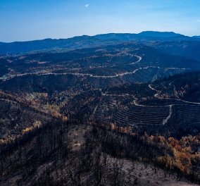 Έρευνα σοκ του Αστεροσκοπείου - To 1/3 των δασών της Εύβοιας κάηκε από την πρόσφατη πυρκαγιά (βίντεο)  