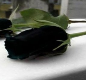 Δράμα στην Κρήτη: 52χρονη καρκινοπαθής πέθανε μία εβδομάδα μετά τον χαμό του 20χρονου παιδιού της σε τροχαίο - Κυρίως Φωτογραφία - Gallery - Video