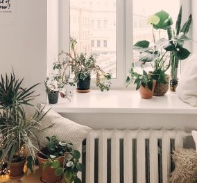 Ο Σπύρος Σούλης δίνει ιδέες: 7 τρόποι για να βάλετε φυτά στο σπίτι σας - μεταμορφώνουν τον χώρο (φωτό) - Κυρίως Φωτογραφία - Gallery - Video