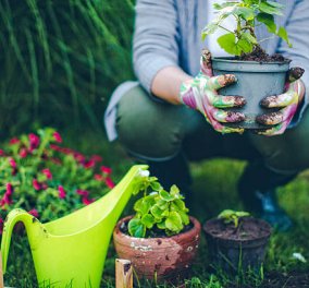 Τα οφέλη της κηπουρικής για την ψυχική υγεία: Όταν η φροντίδα του κήπου είναι φροντίδα της ψυχής (βίντεο)