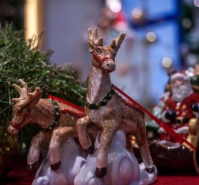 It's Christmas Time: Οι τάρανδοι του Αγίου Βασίλη: Τα ονόματά τους και τα χαρακτηριστικά τους
