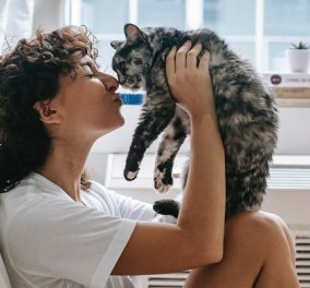 3 τρόποι να χτίσεις μια καλύτερη σχέση με τη γάτα σου - ρουτίνα, σωστή διατροφή και πολύ παιχνίδι - Κυρίως Φωτογραφία - Gallery - Video