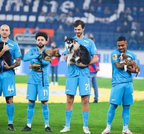 Good news: Οι παίκτες της Zenit μπήκαν στο γήπεδο με σκυλάκια στην αγκαλιά - θα τους βρουν σπίτι (φωτό & βίντεο) - Κυρίως Φωτογραφία - Gallery - Video