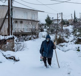 Σε απόγνωση ηλικιωμένη στο Ντράφι: «Είμαστε 36 ώρες χωρίς ρεύμα, κρυώνω, τα τρόφιμα λιώνουν» λέει με λυγμους (βίντεο) - Κυρίως Φωτογραφία - Gallery - Video