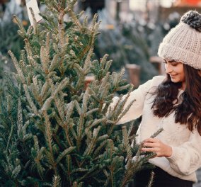 Αγοράσατε αληθινό χριστουγεννιάτικο δέντρο & τώρα δεν ξέρετε τι να το κάνετε; - δείτε πώς θα το ανακυκλώσετε 