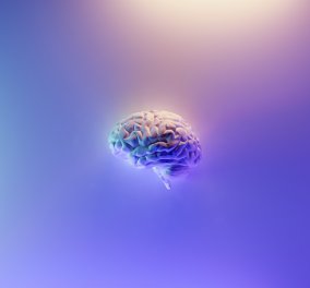 Απίστευτη ανακάλυψη: Επιστήμονες ανανέωσαν το γερασμένο εγκέφαλο και τη μνήμη πειραματόζωων  - Κυρίως Φωτογραφία - Gallery - Video
