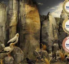 Good news: «Χρυσό» το Μουσείο Φυσικής Ιστορίας Μετεώρων και Μουσείο Μανιταριών - 40 βραβεύσεις! - Κυρίως Φωτογραφία - Gallery - Video