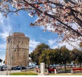 Σοκ στη Θεσσαλονίκη: Mακάβριο εύρημα - Βρέθηκε ακέφαλο πτώμα χωρίς πόδια στο Καλοχώρι - Κυρίως Φωτογραφία - Gallery - Video