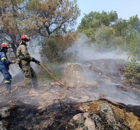 Φωτιά στη Δαδιά Έβρου: Σκληρή μάχη με τις φλόγες για να σωθεί το δάσος - Πυρκαγιά και στην Λέσβο (βίντεο)