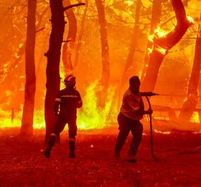 Πυρκαγιές - έκτακτη ενημέρωση: Σε εξέλιξη η φωτιά στα Βατερά Λέσβου - Ποια η κατάσταση στο δάσος Δαδιάς (βίντεο) - Κυρίως Φωτογραφία - Gallery - Video