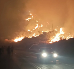 Πύρινος εφιάλτης σε Φωκίδα & Κρανίδι: Παραδόθηκε στις φλόγες ξενοδοχείο – Πολλές οι ενεργές εστίες (βίντεο/φωτό)