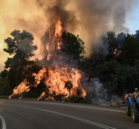 Συνεχίζεται η επιχείρηση κατάσβεσης στο Εθνικό Πάρκο Δαδιάς - Μαίνεται η φωτιά σε Λέσβο και Ηλεία - Κυρίως Φωτογραφία - Gallery - Video