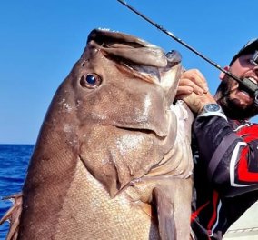 Βίντεο: Μια βλαχοσφυρίδα- γίγαντα 40 κιλών αλίευσε σε βάθος 165 μέτρων ο Κρητικός τολμηρός ψαράς