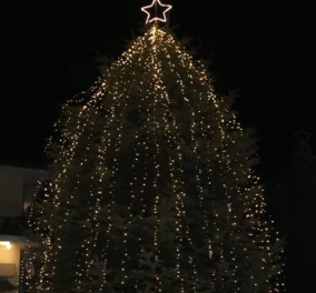 Στα 16 μέτρα φέτος το έλατο του Ταξιάρχη στην Χαλκιδική -  Τι θα γίνει φέτος με τις τιμές των χριστουγεννιάτικων δέντρων;  - Κυρίως Φωτογραφία - Gallery - Video