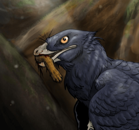 Ανακαλύφθηκε ο πρώτος δεινόσαυρος που είχε φάει θηλαστικό - Με φτερά και σε μέγεθος γάτας ο «Microraptor» 