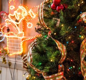 Χριστούγεννα: Τελικά το ψεύτικο ή το αληθινό δέντρο είναι πιο φιλικό προς το περιβάλλον; - Κυρίως Φωτογραφία - Gallery - Video