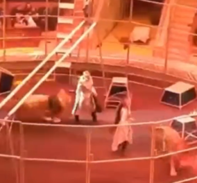 Σοκ σε τσίρκο στη Ρωσία: Λιοντάρι ορμάει και δαγκώνει τον θηριοδαμαστή την ώρα της παράστασης– Δείτε το βίντεο - Κυρίως Φωτογραφία - Gallery - Video