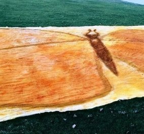 Παγκόσμιο ρεκόρ Γκίνες: Ο μεγαλύτερος πίνακας ζωγραφικής από μπαχαρικά - μία πεταλούδα που καλύπτει 84 τ.μ (φωτό) - Κυρίως Φωτογραφία - Gallery - Video