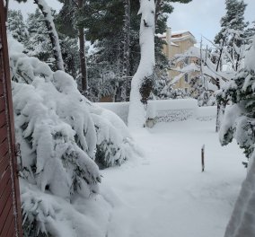 Κακοκαιρία Μπάρμπαρα: Αποκλειστικές φωτογραφίες του Eirinika με το χιονισμένο τοπίο στα βόρεια προάστια - Κυρίως Φωτογραφία - Gallery - Video
