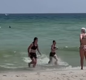 Δείτε το βίντεο! Κολυμβήτριες τρέχουν σαν τρελές στην παραλία καθώς ο καρχαρίας έχει φτάσει στην ακτή! - Κυρίως Φωτογραφία - Gallery - Video
